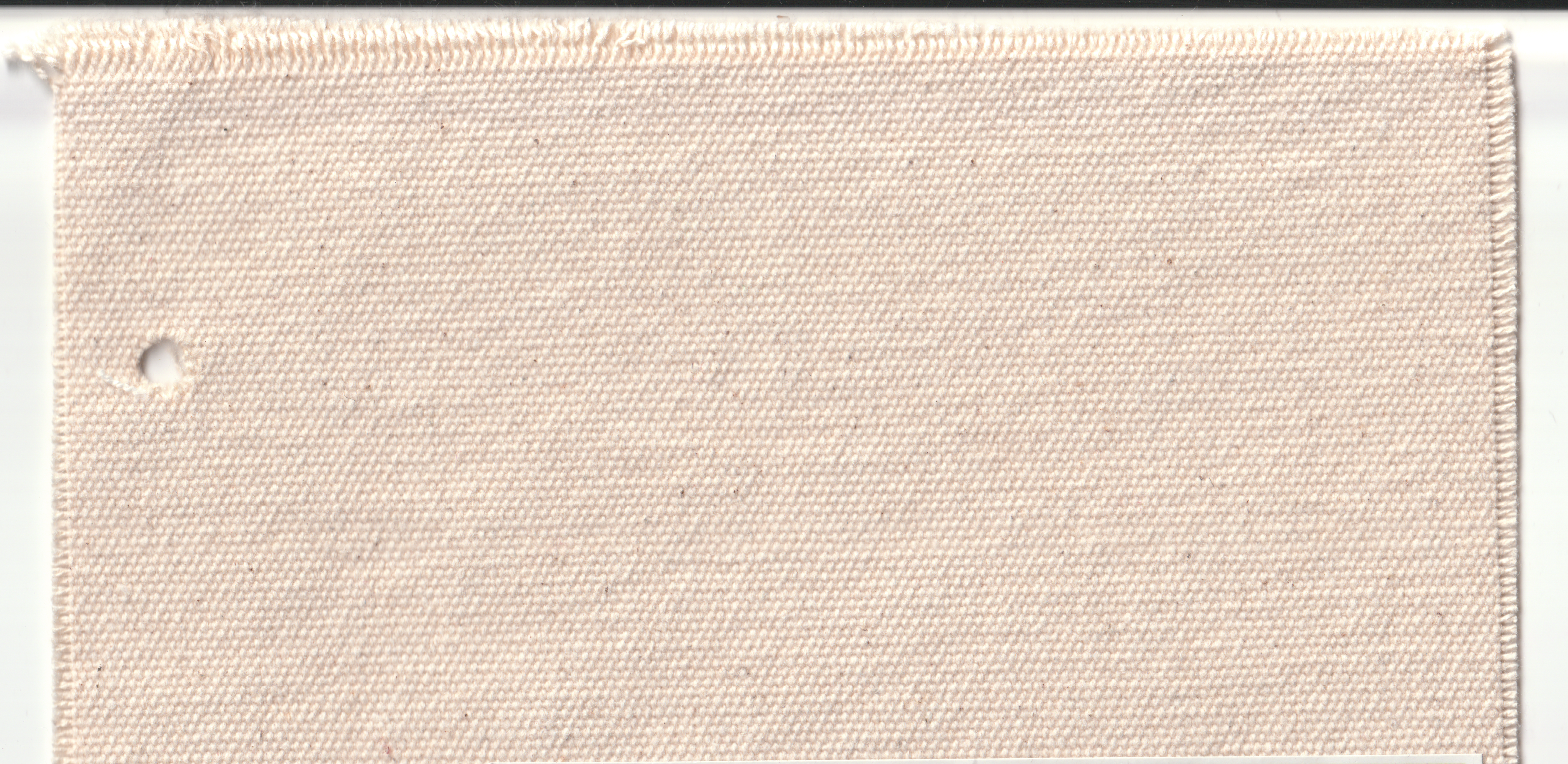 Cotton 450 GSM (13.27 oz/yd²)