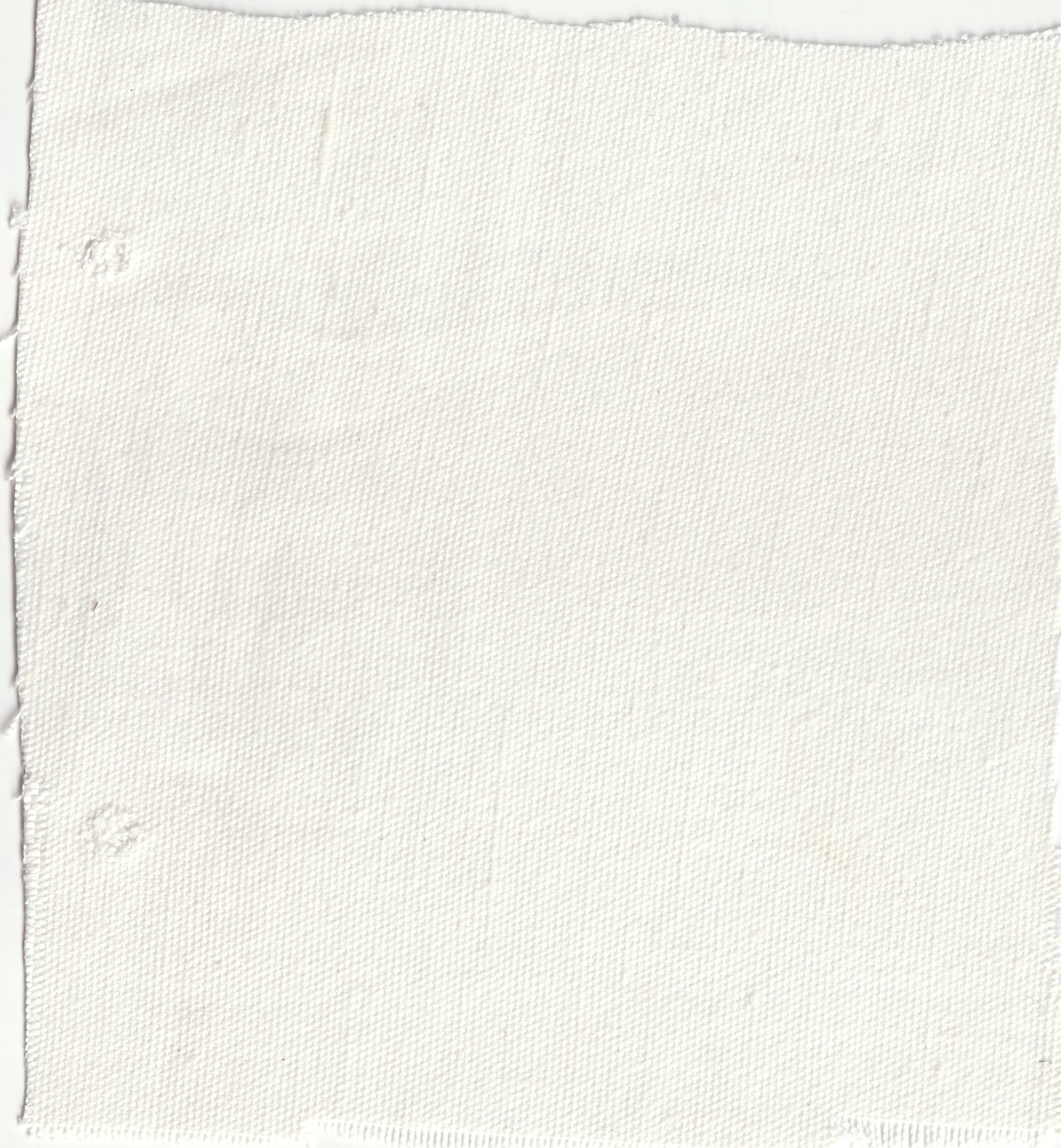 Polyester 340 GSM (10.03 oz/yd²)
